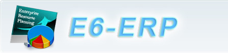 E6-ERP